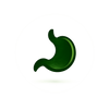 Supports Digestion